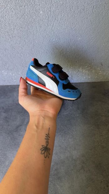 Basket puma