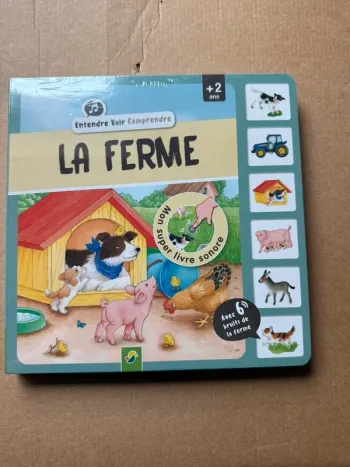 Livre entendre voir comprendre neuf