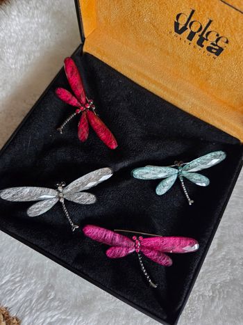 Libellules butineuses multicolores