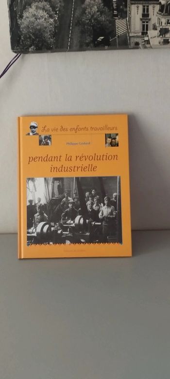 La vie des enfants travailleurs. Philippe Godard