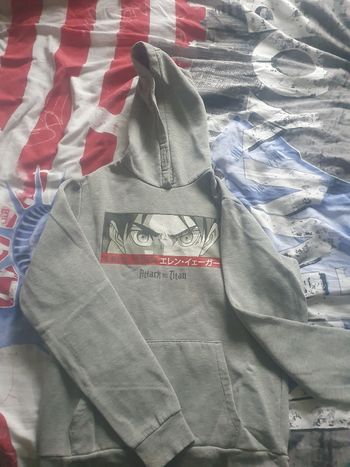 Pull attaque des titan