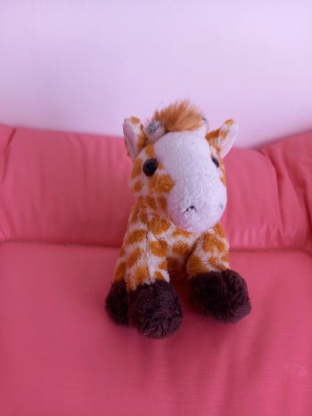 Peluche girafe 🦒