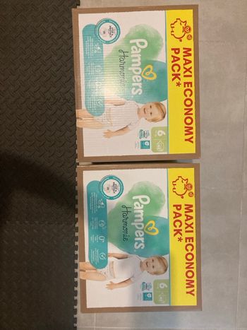 Lot de 3 cartons T 6 harmonie