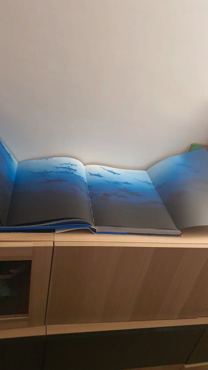 Livre Requins Michel Muller Taschen - photo numéro 8