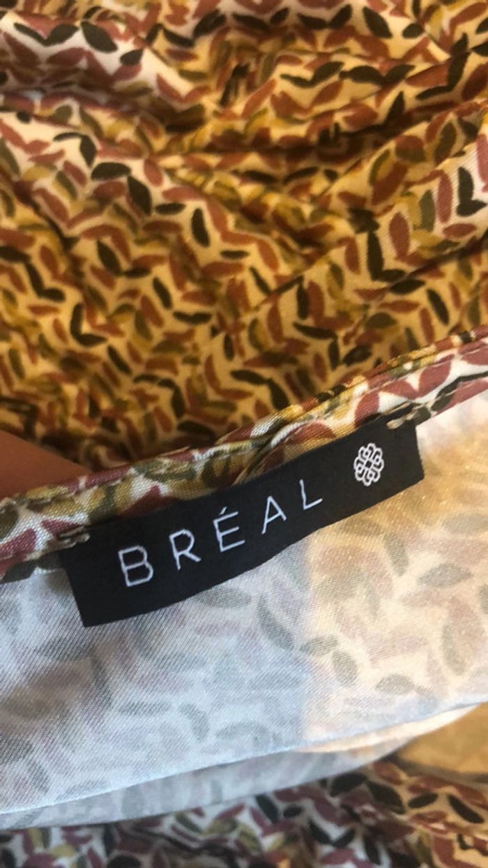 Blouse tres jolie Breal - photo numéro 4