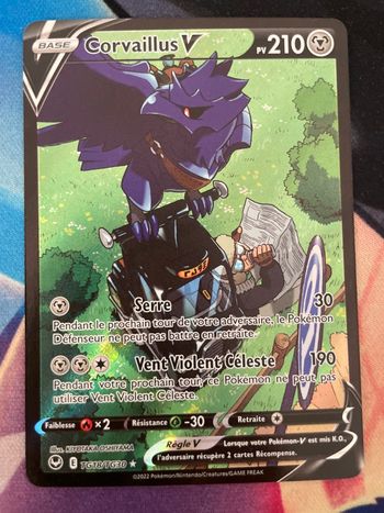 Corvaillus V Tempête argentée