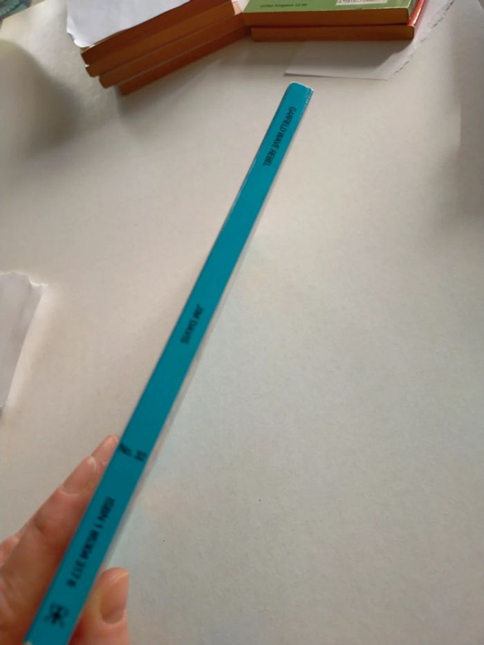 Garfield wave rebel - photo numéro 4