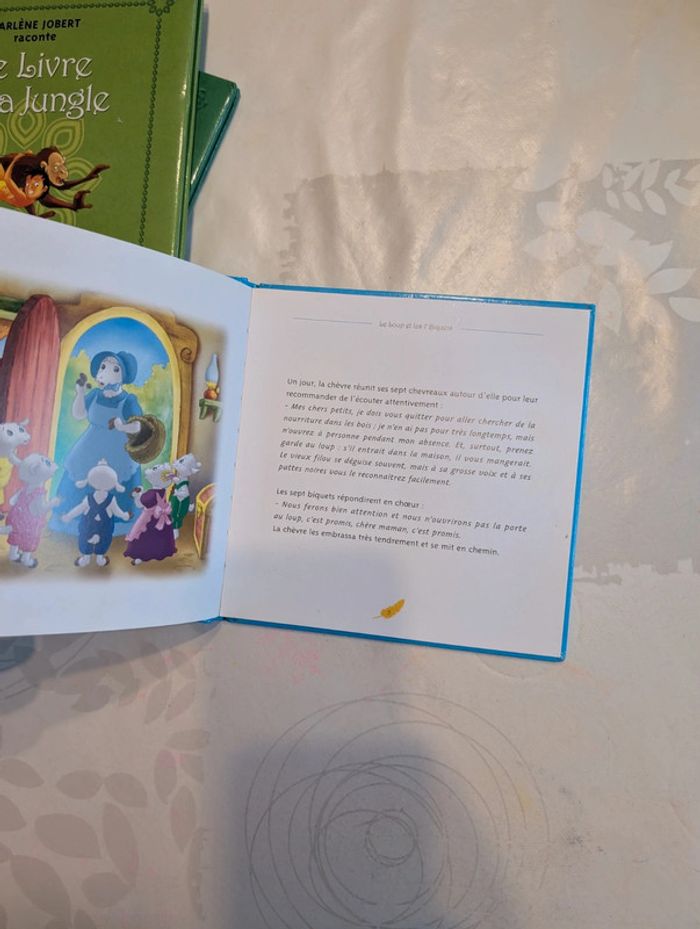 Lot livres contes - photo numéro 12