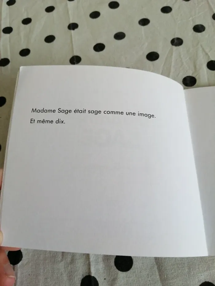 Livre mme sage de monsieur madame / hachette jeunesse - photo numéro 3