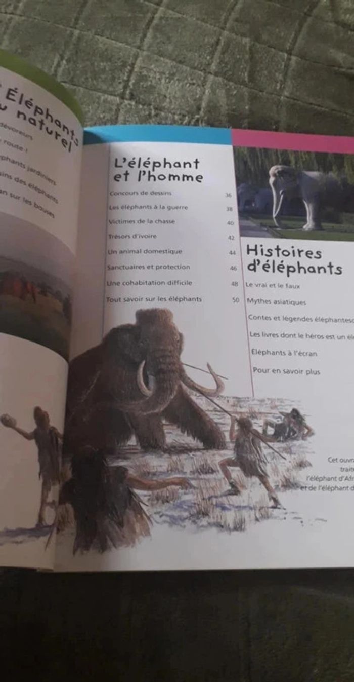 Superbe lot d' ouvrages animalier / Le Tigre / L' éléphant / Jeunesse. - photo numéro 8