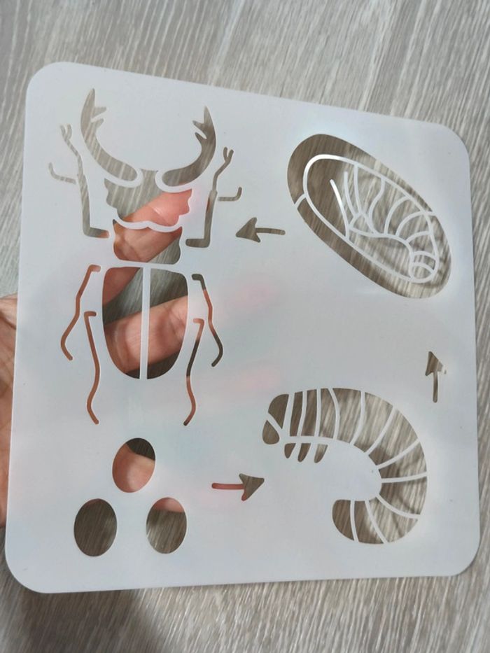 Pochoir du cycle de vie du lucarne cerf-volant - photo numéro 3