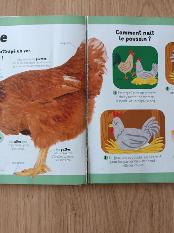 Mon livre des animaux - photo numéro 8