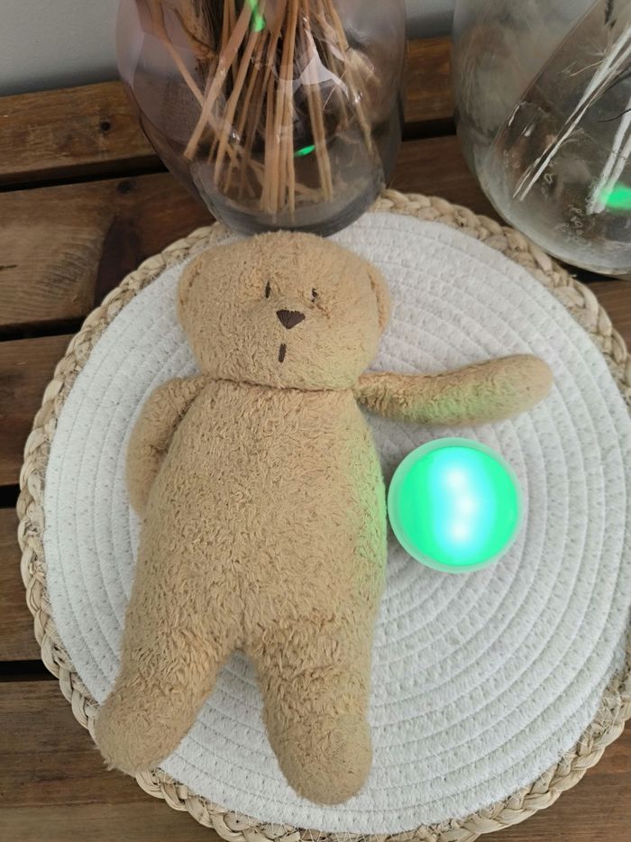 Ours Moonie - photo numéro 3