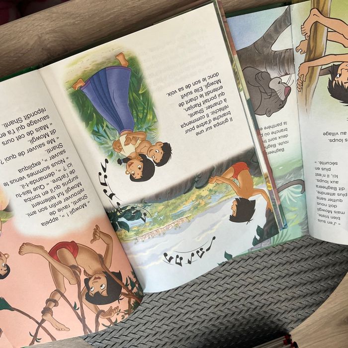 Livre de la jungle - photo numéro 2
