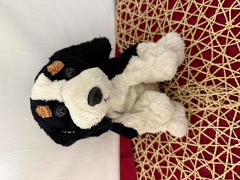 doudou Cavalier King Charles Spaniel Doudou chien artesavi