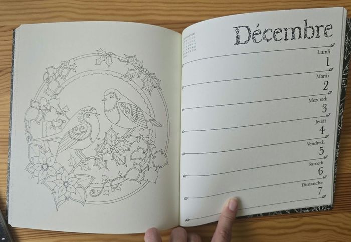 Agenda a colorier - photo numéro 3