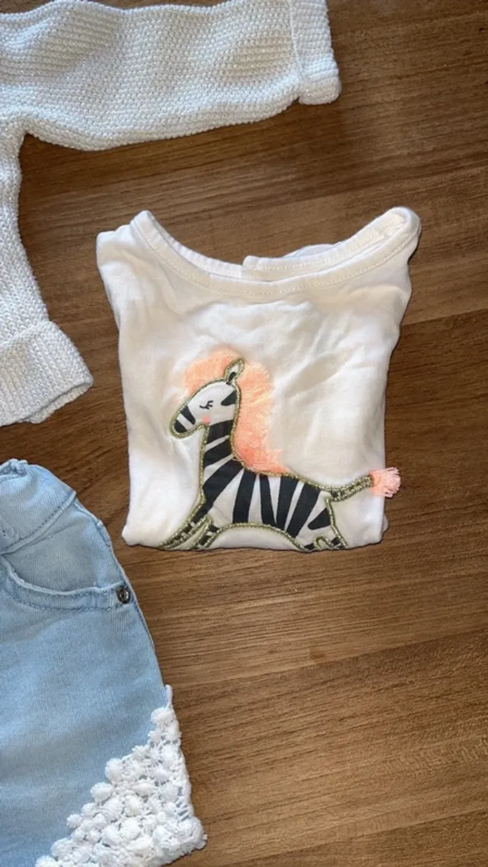 short primark/tee-shirt kiabi/gilet lulu castagnette 3 mois/pull gemo 6 mois offert (etat moyen) - photo numéro 6