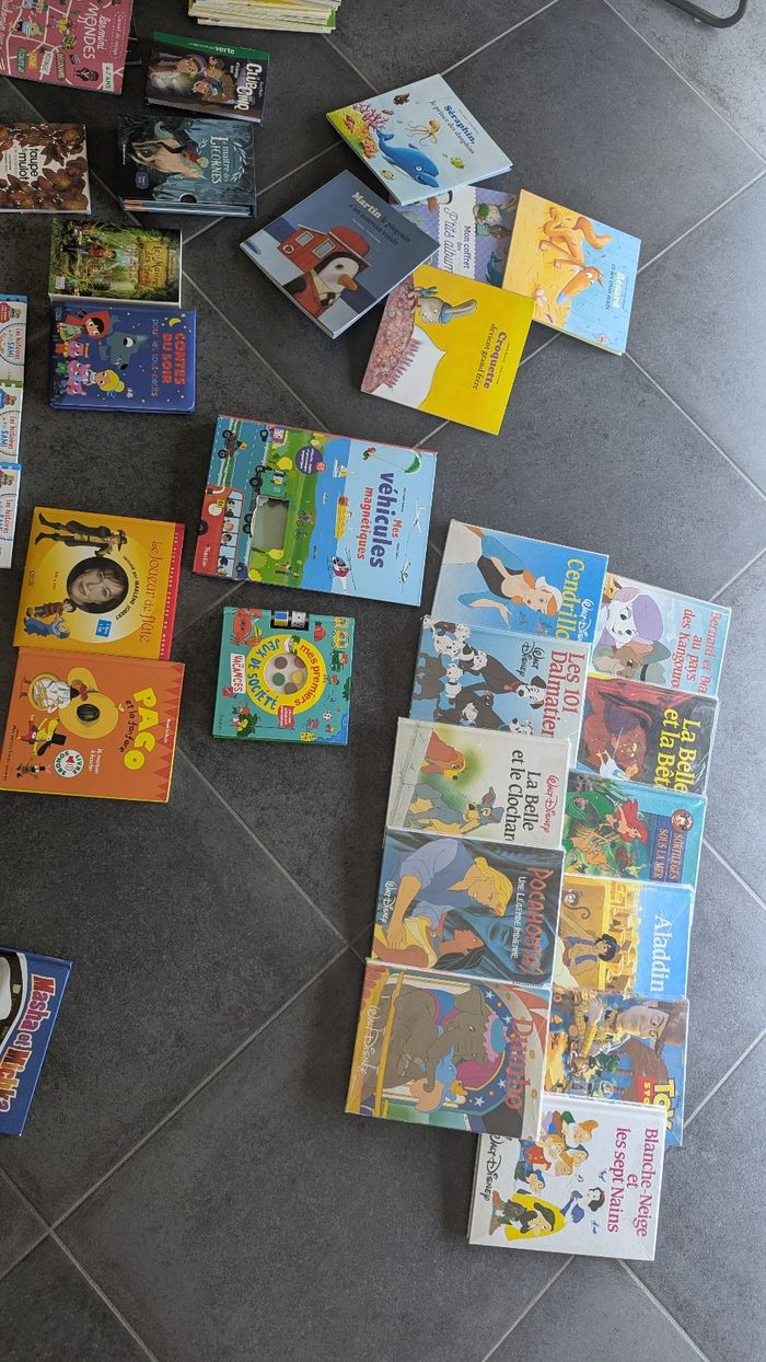 Lot de livres pour enfants - photo numéro 7