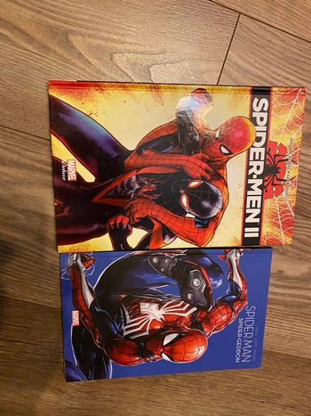 Lot 2 livres style bd Spiderman 