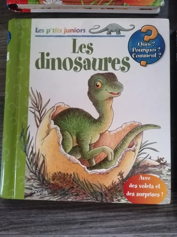 Livres les p'tits juniors - photo numéro 4