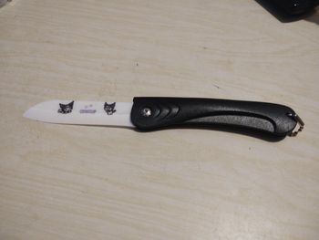 Couteau pliant kuromi