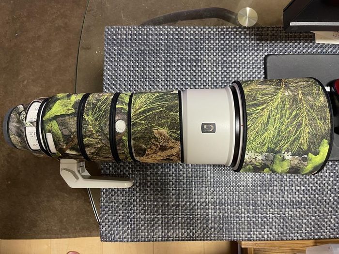 Beauté SONY FE 200 600mm F5.6 6.3 G