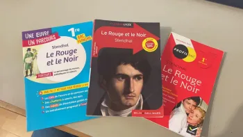 Le rouge et le noir (bac français)