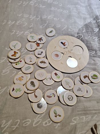 Jeu cycle de vie en bois