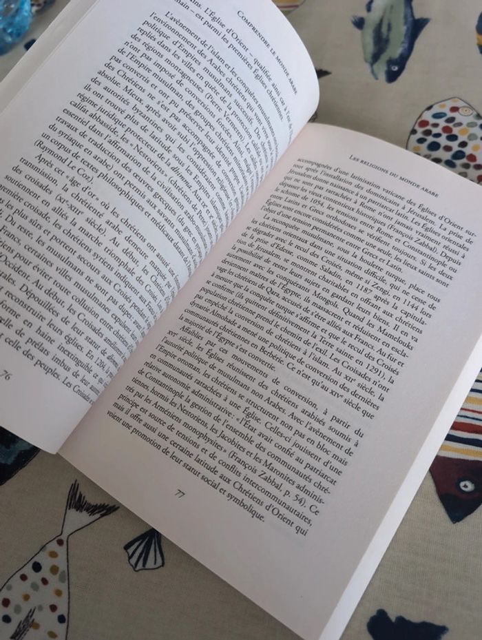 Comprendre le monde Arabe - photo numéro 4