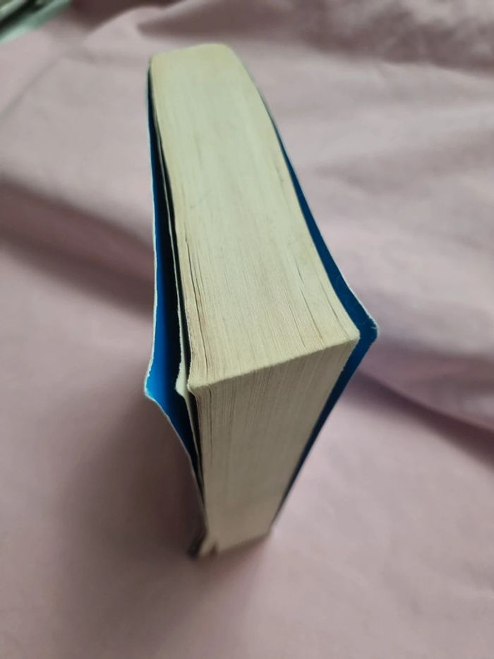 Héros de l'Olympe tome 1 - photo numéro 3