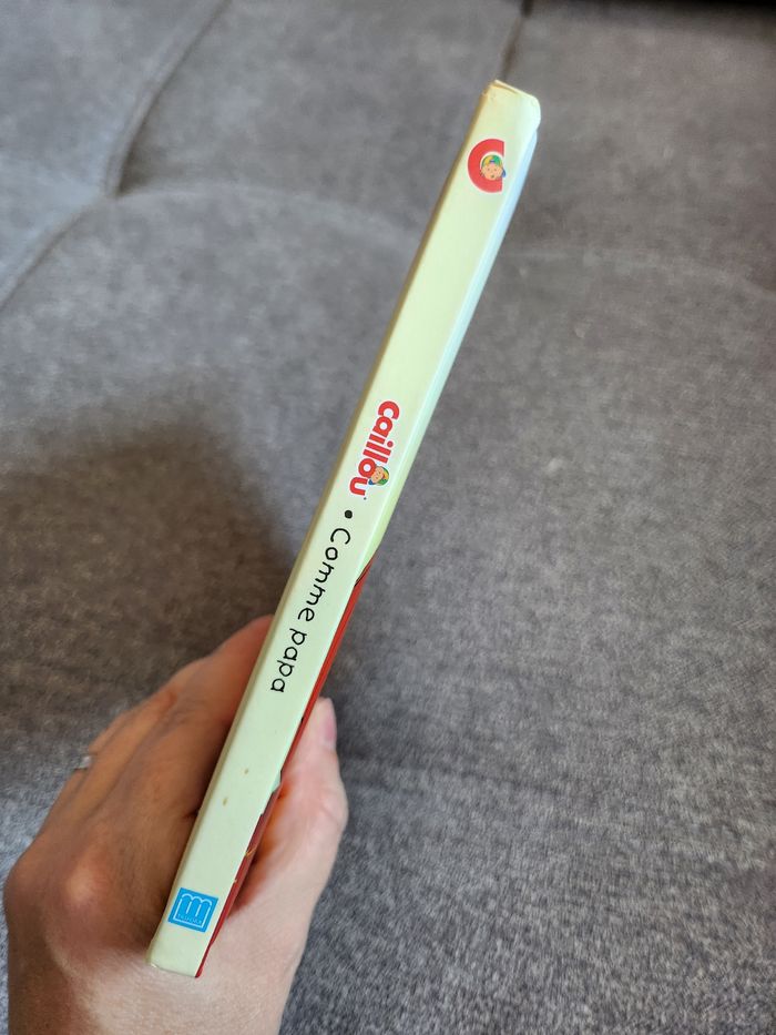 Livre caillou comme papa - photo numéro 4