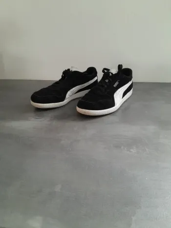 Basket puma