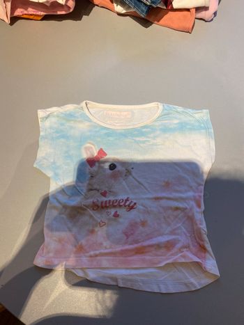 Teeshirt taille 18 mois