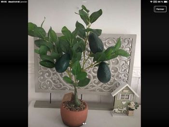 neuve grande plante articielle avocatier