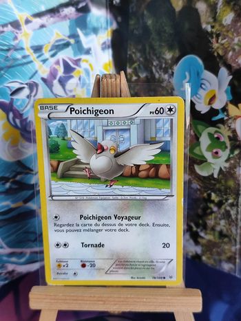 Poichigeon 78/108 ciel rugissant