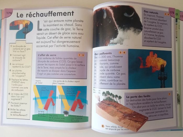 livre mon premier quizz animaux et nature - photo numéro 4