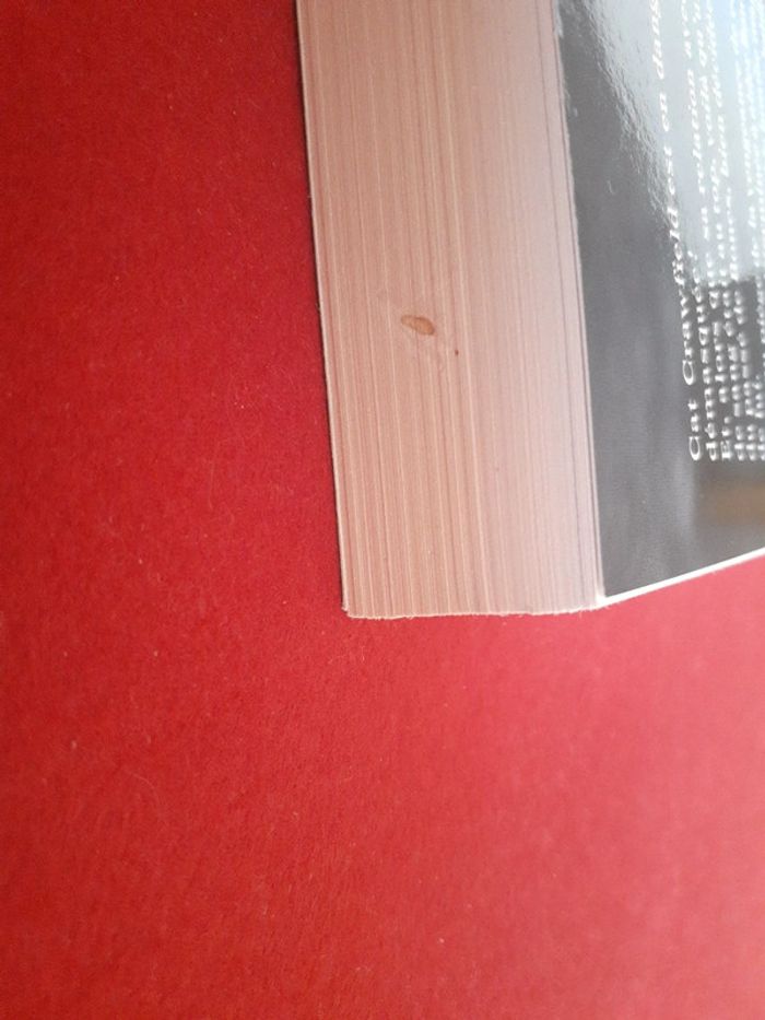 Froid comme une tombe tome 3 Chasseuse de la nuit - photo numéro 12