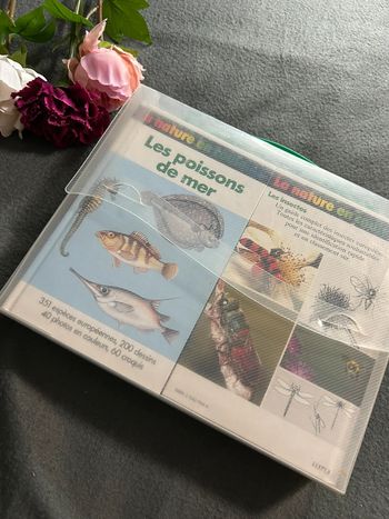 Coffret La Nature en Couleurs – 6 livres illustrés