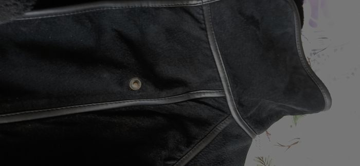 Manteau peau lainée - photo numéro 4