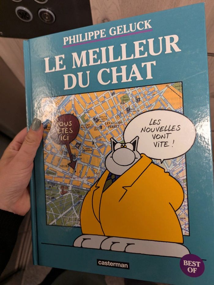 Le meilleur du chat
