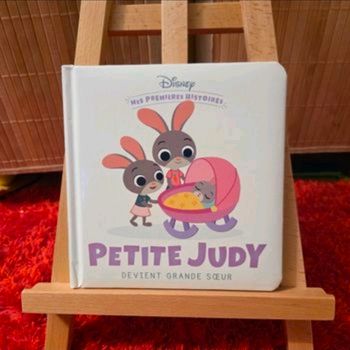Livre enfant Disney mes premières histoires petite judy devient grande soeur