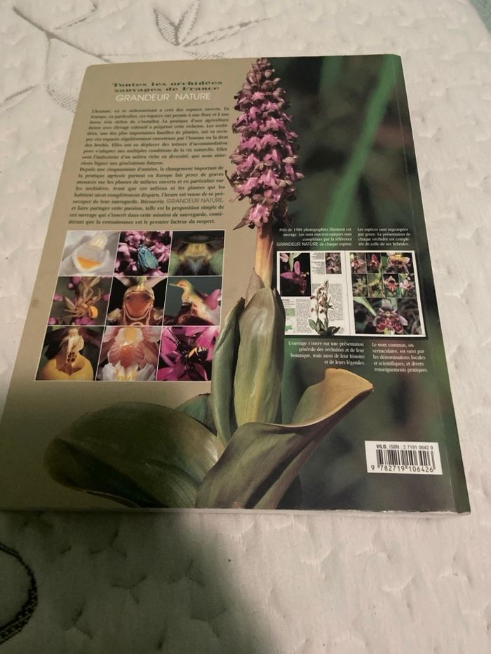 Les orchidées - photo numéro 7