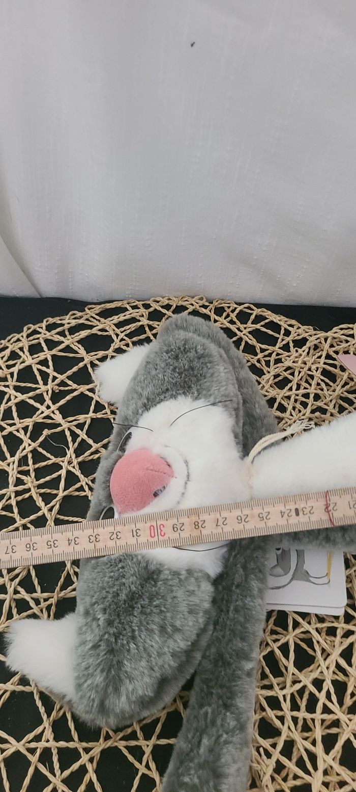 MOULIN ROTY CHAPLAPLA LE CHAT PLAT - photo numéro 6