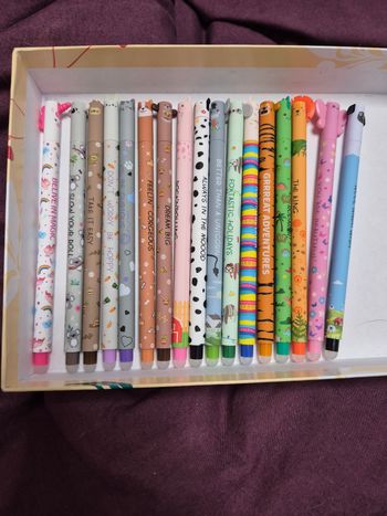 Lot de 17 stylos effaçables 