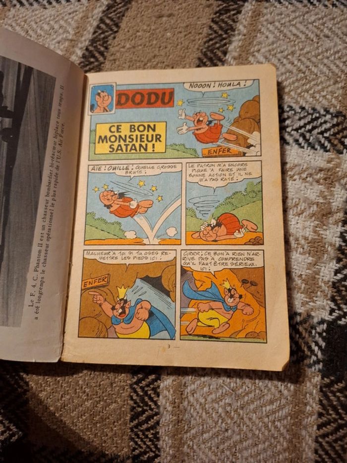 Dodu n°5 - photo numéro 4