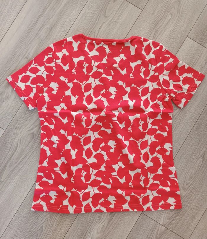 Haut damars - photo numéro 2