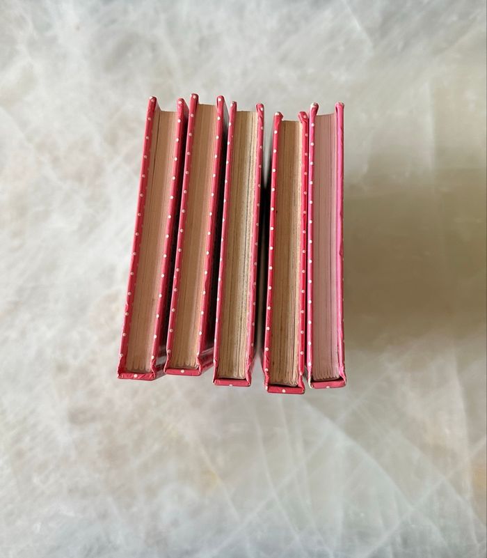 Lot de 5 Livres de la collection « Lecture Club Benjamin » - photo numéro 3