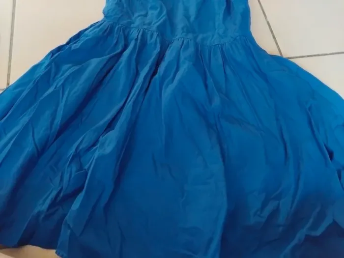 Robe bleu femelle - photo numéro 3