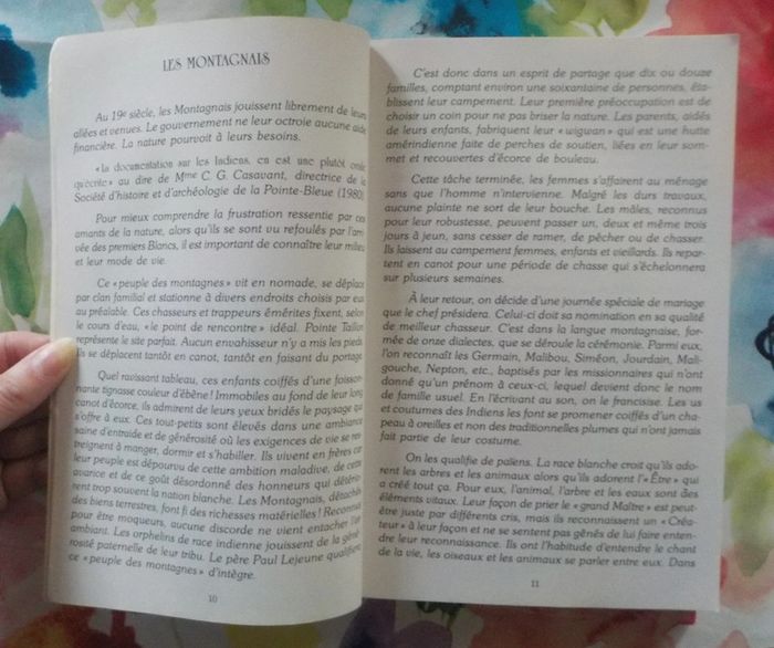 Blessure d'une Terre Récit historique Comité de Promotion de la Pointe Taillon - photo numéro 5