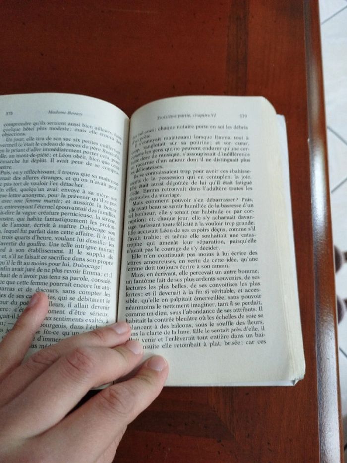 Madame Bovary - Gustave Flaubert - photo numéro 3